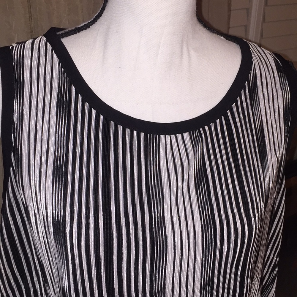 Sleeveless Tunic - Picture 2 of 4